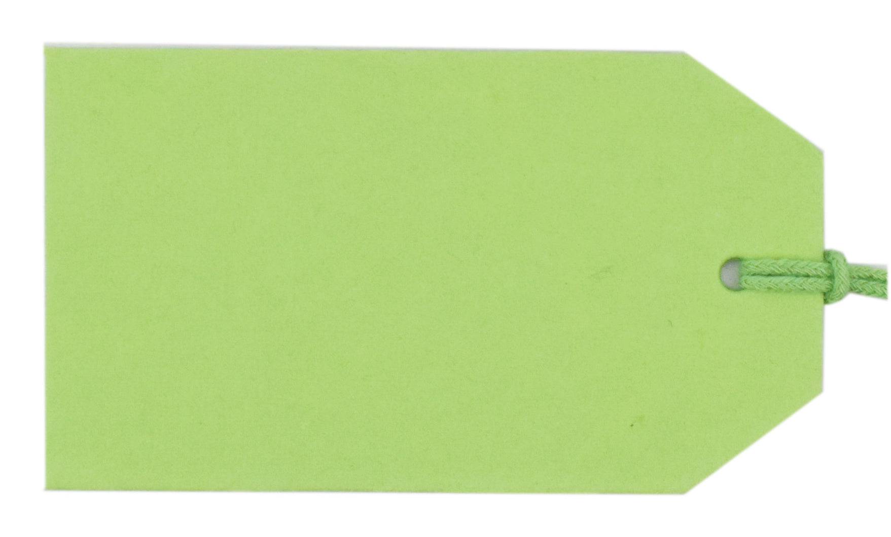 Lime green luggage tag from Love Vivid, vivid product with adjustable strap and clear ID window for travel accessories.